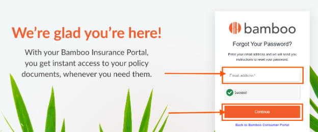 Bamboo portal page asking for email address